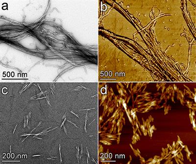 Hierarchically Structured CeO2 Catalyst Particles From Nanocellulose/Alginate Templates for Upgrading of Fast Pyrolysis Vapors